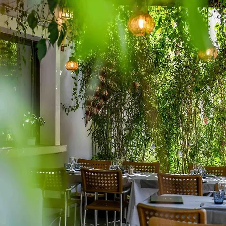 Hotel Logis Le Commerce- Darracq