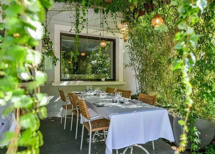 Logis Le Commerce- Darracq