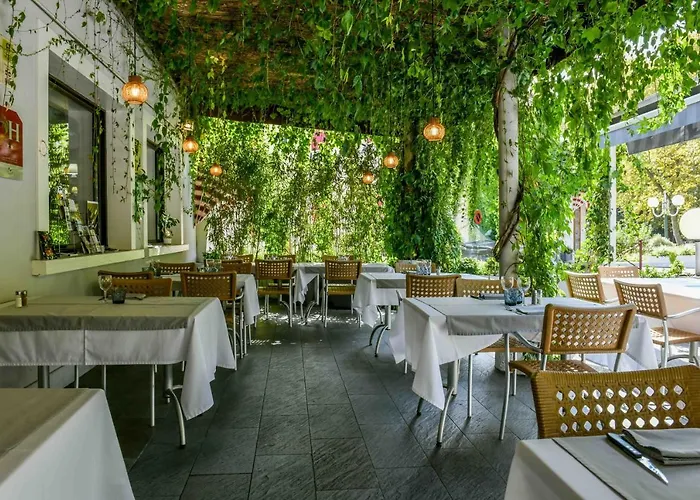 Hotel Logis Le Commerce- Darracq